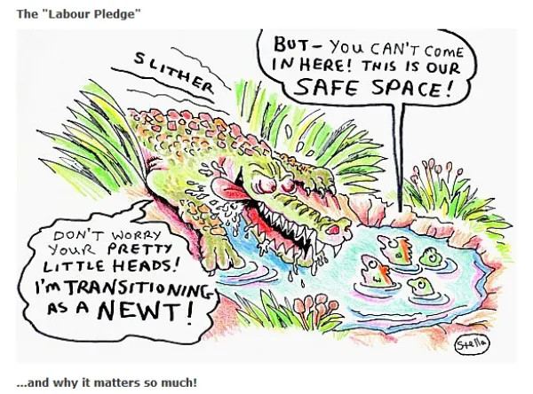 PCC role defined. Sex at birth is not recorded by Police.